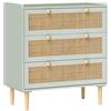 HOMCOM Cassettiera per camera da letto con 3 cassetti, frontali in rattan, cassettiera per corridoio e ingresso, MDF, Verde | Aosom Italy