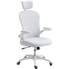 Vinsetto Sedia da Ufficio in Rete con Schienale Alto Poggiatesta Regolabile Supporto Lombare 4D 62x64x120 cm Bianco | Aosom Italy