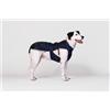 LOVEDI Lovedì Cane Cappotto Impermeabile Staccabile Blu TG.55
