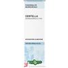 ERBA VITA GROUP SPA CENTELLA ASIATICA SOLUZIONE IDROALCOLICA 50 ML