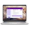 Dell Pro 14 Plus PB14250 Intel Core Ultra 7 255U 16GB Intel Graphics 512GB 14 Full HD+ Windows 11 Pro