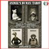tarocchi degli animali mazzo carte gioco oracolo sibille fortuna spiriti guida 3