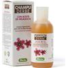 Farmaderbe Shampoo Igienizzante Antiforfora 200ml