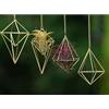 ZOOELAY 4Pcs Hanging Metal Air Plant Holder with Chain Mini 2 Style Tillandsia Geomitric Airplants Hanger Air Fern Cage Decor for Home and Office