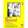 Strathmore Bristol - Carta Liscia Pad 9 X 12-20 Fogli
