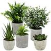 BUCOMTU 5 Pezzi Piante Artificiali, Mini Piante finte Serpentine, Agave Succulente, Aloe Artiglio d'Aquila per Camera da Letto Ufficio Decorazione (Colore naturale)