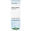 ERBA VITA GROUP SpA ROSA CANINA BAC SOL IAL 50ML