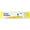 Arnica montana 4ch gr bo - - 800020986