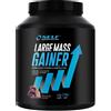 Self Omninutrition Large Mass Gainer 2 Kg Vaniglia