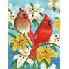 OWN4B Kit per punto croce su tela stampata con uccelli e fiori, 11 ct, 36 x 46 cm, kit per ricamo fai da te (uccelli)