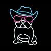 Ad Trend Insegna Neon LED "M. Funny Dog" 30 x 40 Cm Decorazione Luminosa da Parete