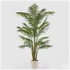 EDG Enzo De Gasperi Pianta Artificiale Palma Areca Vogue con Vaso H240 cm - Pianta Decorativa Realistica Design Moderno