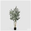 EDG Enzo De Gasperi Pianta Artificiale Olivo Vogue con Vaso H180 cm - Pianta Decorativa Realistica Design Moderno