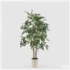 EDG Enzo De Gasperi Pianta Artificiale Ficus Beniamino Vogue con Vaso H180 cm - Pianta Decorativa Realistica Design Moderno