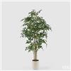 EDG Enzo De Gasperi Pianta Artificiale Ficus Beniamino Vogue con Vaso H210 cm - Pianta Decorativa Realistica Design Moderno