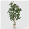 EDG Enzo De Gasperi Pianta Artificiale Ficus Beniamino Vogue con Vaso H 240 Cm - Pianta Decorativa Realistica Design Moderno