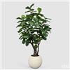 EDG Enzo De Gasperi Pianta Artificiale Ficus Lyrata Vogue con Vaso H240 cm - Pianta Decorativa Realistica Design Moderno