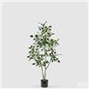 EDG Enzo De Gasperi Pianta Artificiale Ficus Vogue con Vaso H120 cm - Pianta Decorativa Realistica Design Moderno