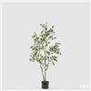EDG Enzo De Gasperi Pianta Artificiale Ficus Vogue con Vaso H120 cm Verde Chiaro - Pianta Decorativa Realistica Design Moderno