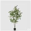 EDG Enzo De Gasperi Pianta Artificiale Ficus Vogue con Vaso H 150 Cm - Pianta Decorativa Realistica Design Moderno
