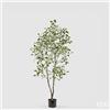 EDG Enzo De Gasperi Pianta Artificiale Ficus Vogue con Vaso H 150 Cm Verde Chiaro - Pianta Decorativa Realistica Design Moderno