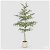 EDG Enzo De Gasperi Pianta Artificiale Bucida Buceras Vogue con Vaso H 300 cm - Pianta Decorativa Realistica Design Moderno