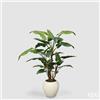 EDG Enzo De Gasperi Pianta Artificiale Alocasia Vogue con Vaso H 180 Cm - Pianta Decorativa Realistica Design Moderno