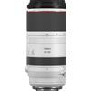 Canon Obiettivo Canon RF 100-500mm F4.5-7.1L IS USM