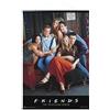 Grupo Erik Poster Friends personaggi Serie TV con appendi poster a stecche magnetiche fai da te, 61x91,5 cm