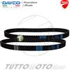Dayco KIT CINGHIE DISTRIBUZIONE DAYCO 1 EQUIP. DUCATI 998 S Final Edition 2004-2004