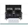 Algam Lighting Coppia Phoenix 650W Fontane Luminose + 1 Flightcase + 4 Confezioni di Polvere