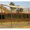 Dmora Pergola da Giardino a Parete, Struttura Color Antracite e Telo Color Ecrù, 300 x 200 x h240 cm