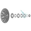 SHIMANO CS-Lg700 Pignone Black One Size