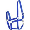 START ENJOY THE RIDE Start Economic Cavezza per cavalli - Cavezza regolabile in nylon con moschettone, robusta e confortevole, materiale morbido e resistente allo sporco (blu reale, pieno (sangue caldo)