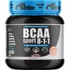 PRO NUTRITION BCAA SPORT 8:1:1 150G ARANCIA Amminoacidi
