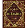 SALANI La magia di MinaLima (Italiano)