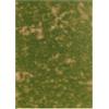 Busch Summer Grass - Tappetino in Fibra 297x210mm