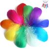 HMCEY 500 Pezzi Piume Decorative Colorate 6-12 CM,Piume Naturali per Lavoretti,Feather,Piuma per Acchiappasogni Fai da Te,Piuma per Abbigliamento Carnevale per Artigianato, DIY, Festa Decorazioni