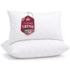 Flowen Cuscini per Divano 30x50 Imbottitura Cuscini 2 pezzi Interno Decorativi Quadrati Morbidi con Federa Trapuntata Bianca Anallergici Antiacaro Arredo Casa Salotto Letto Lavabili