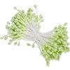 PATIKIL 3mm Doppio Teste Fiore Stame 150pz Fiore Artificiale Stame Pistillo Opaca Floreale Stame per Fai da Te Natale Cartolina Matrimonio Decorazione Chiaro Verde
