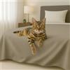 Byour3 - Copriletto in Cotone Misto ORGANICO Matrimoniale Letto Singolo Piazza e Mezza Coperta Pesante Lavabile Teli Arredo Multiuso Copritutto GrandFoulard Copridivano (Beige, Singolo)