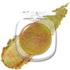 Lestpola Ombretto con glitter multicromo, giallo, verde, crema shifting con forte effetto metallico, Shimmer Inner Corner Eye Highlighter ombretto, Iridescent Fairy Make per donne ragazze 03