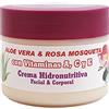 COSMONATURA Crema Idronutritiva Viso e Corpo con Aloe Vera pura da coltivazione biologica delle Isole Canarie, Rosa canina e vitamine, 250 ml - Per una pelle radiante -Bionatural 11320