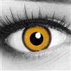 MeralenS Funnylens 1 Coppia di lenti a contatto annuali colorate Giallo Nero Crazy Fun bordo colorato tema "Lunatic Sun", con portalentiPerfetto per il Carnevale e per travestirsi.