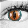 Meralens Lenti a Contatto Colorate marroni Brown Snake 17mm Lenses - con porta lenti a contatto - ideali per Manga Anime Halloween - Durata 1 Anno - 1 Coppia senza correzione