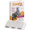 AMICIBAU Confis Gatti 15cps 500mg
