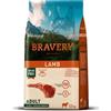 AMICIBAU Bravery Dog Adult Medium Large Agnello - 2 x 12 kg