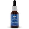 Fiori Australiani - Bush Flower Australian Bush Flower Essences Flower Mood 30 ml