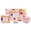 Tea Forte, set da tè regalo con tazza da caffè, vassoio da tè e 10 bustine per infusore da tè piramidali artigianali (Mariposa)