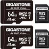 GIGASTONE Scheda di Memoria Micro SDXC da 64 GB e Adattatore SD, Set da 2, A1 U3 4K, Fino a 90 MB/s di Lettura, 30 MB/s di Scrittura per Videocamere Tavoletta Dashcam GoPro Canon Nikon DJI Drone